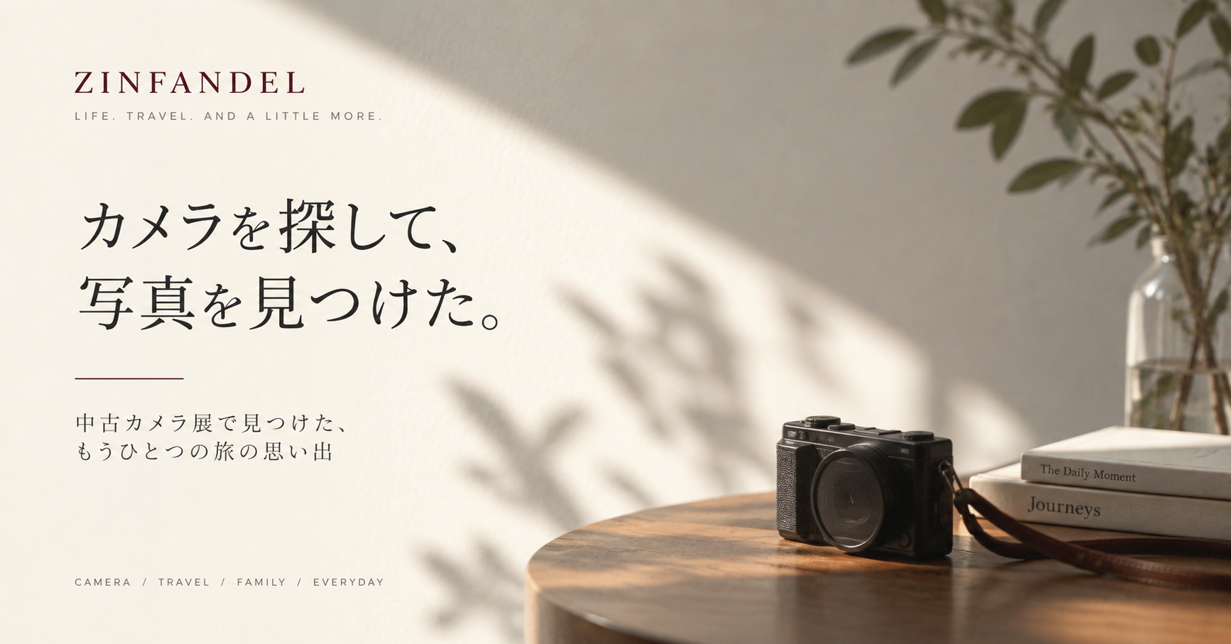 カメラを探して、写真を見つけた。